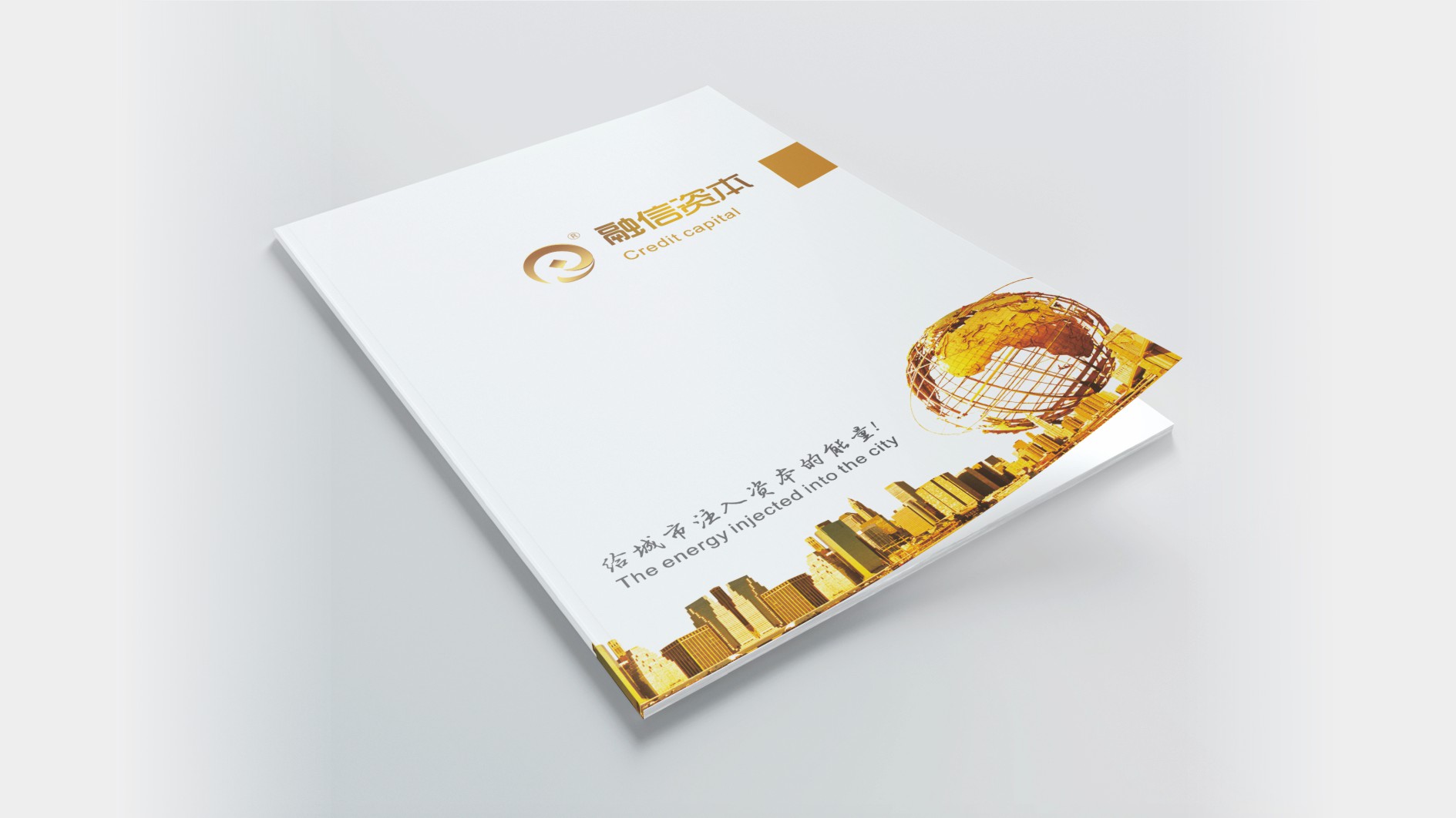 武汉融信资本画册设计