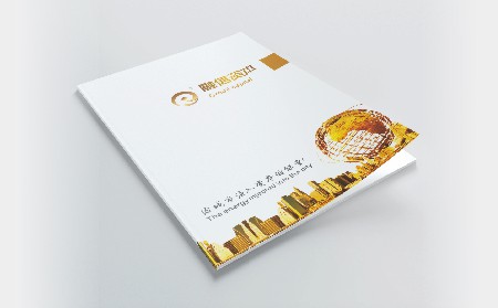 武汉融信资本画册设计