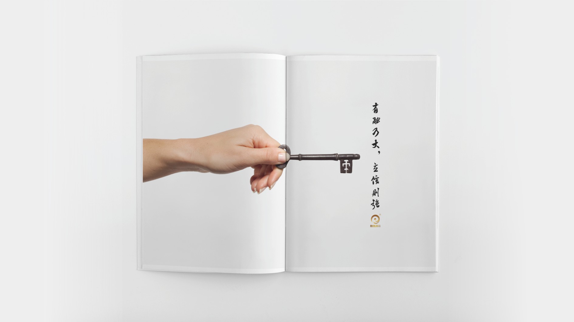 武汉融信资本画册设计